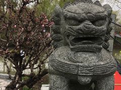 -南汇桃花村