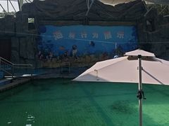 -合肥野生动物园