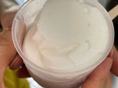 椰子雪糕&nbsp;椰子汁-洪馨椰子
