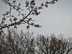 -吉林大学(南岭校区)