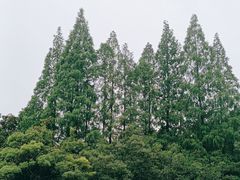 -星巴克臻选(嘉定疁城国际店)