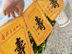 -三亚南山文化旅游区