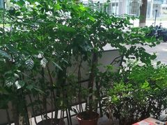 -秦园陕西手工面馆(番禺节能科技园店)