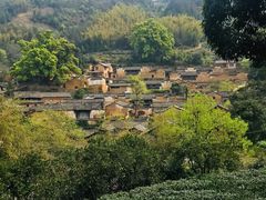 -杨家堂村