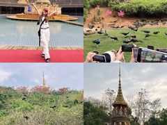 -西双版纳勐泐文化旅游区