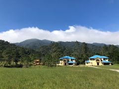 -海南热带雨林国家公园吊罗山景区