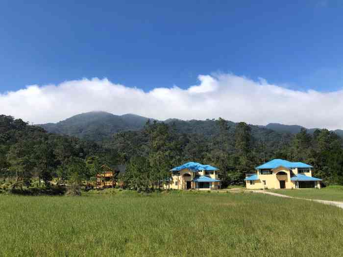 吊罗山国家森林公园-"吊罗山是中国极为珍稀的原始热带雨林区之一.