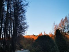 -山王坪喀斯特国家生态公园