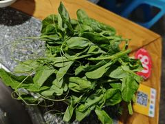 -海关荤豆花(洋河一路店)