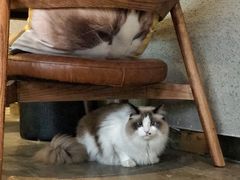 -咖法森林·咖啡  酒吧(天河店)