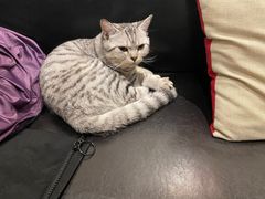 -么么咖啡(燕郊店)