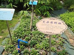 -广东中医药博物馆