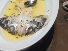 -同庆楼(滨湖万达广场店)