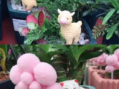 -荷兰花海