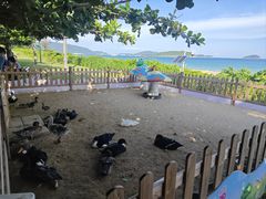 -三亚亚龙湾天域度假酒店