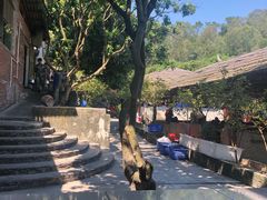 -满記土窑烧鷄波浪山莊