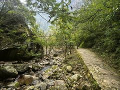 -青峰峡国家森林公园