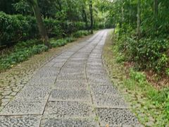 -法云安缦酒店