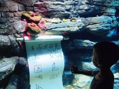 -沈阳海洋探索中心