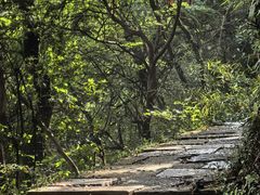 -杭州半山国家森林公园