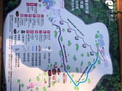 -野象谷景区