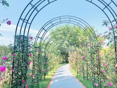 -福建鲤鱼洲酒店