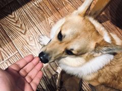 -阿木舂记·特色小吃(平江路店)