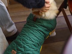 -肥朵食堂(带梦胡同店)