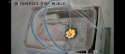 -致友月子会所(麓湖店)