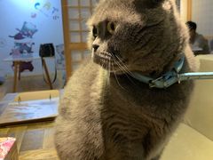 -小时光咖啡馆(开森度假森林店)