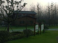 -合肥滨湖国家森林公园