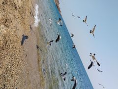 -银沙滩浴场