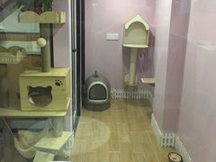 -联合动物医院(光谷诊疗中心)