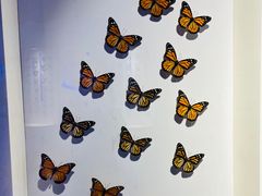 -吉林省自然博物馆