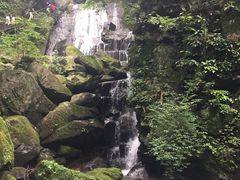 -藏龙百瀑风景区