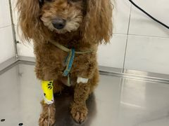 -畜牧兽医站(共江路店)