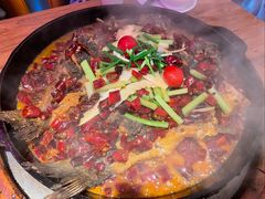 -老板恋上鱼(恒隆广场店)