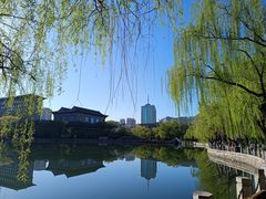 -文瀛公园