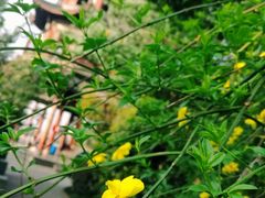 -杭州半山国家森林公园