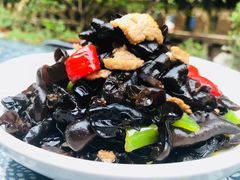 -国生茶庄·地道农家菜团建活动