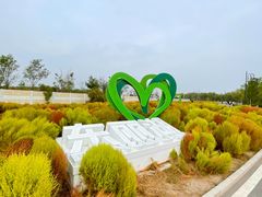 -天津东丽湖风景区