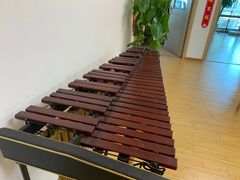 -音歆国艺馆·民乐培训(双榆树店)