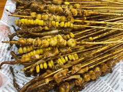 -十里铺铁板鱿鱼