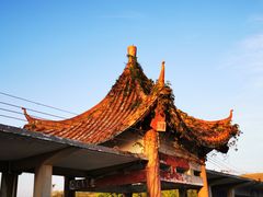-光明小镇欢乐田园