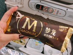 -新加坡航空公司(ION)