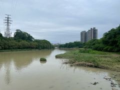 -广东花都湖国家湿地公园