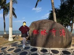 -万绿园