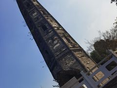 -上海佘山国家森林公园天马山园