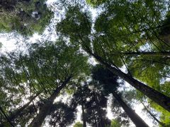 -山王坪喀斯特国家生态公园