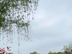 -尚湖风景区